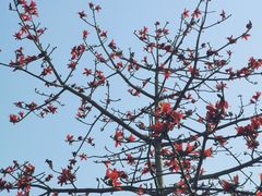 -三亚南山文化旅游区