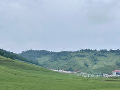-关山草原