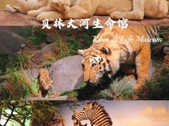 -武汉园博园(武汉自然博物馆)