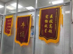 -美美宠物诊疗中心·异宠·骨科(滨江东信分院)