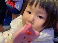 -大连圣亚海洋世界