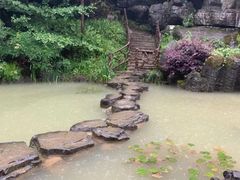 -梭布垭石林景区