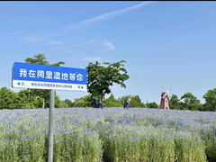 -同里国家湿地公园
