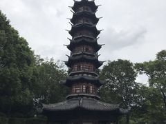 -上海佘山国家森林公园西佘山园