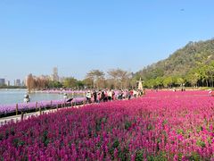 -顺峰山公园