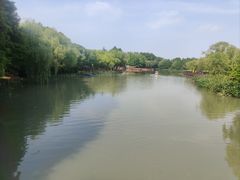 -自然谷恐龙园