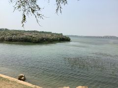 -丁香湖公园