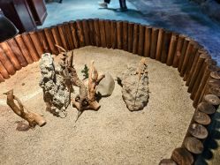 -酷嗒动物文化乐园(cutezoo西溪乐天城店)