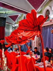 -Sunny喜铺婚礼策划(东部店)