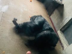 -秦皇岛野生动物园