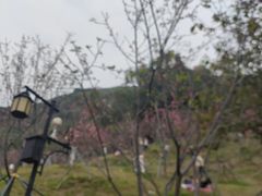 -小南山公园