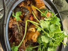 麻辣鲶鱼煲-川香煲(茅台路店)