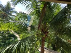 -亚龙湾希尔顿自助餐厅·海鲜·烧烤·沙滩BBQ·现场乐队