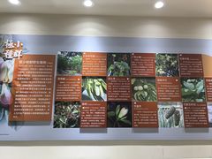 -昆明植物园