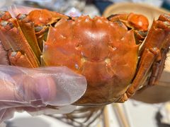 -杨氏青龙虾·羊蝎子(托乐嘉店)