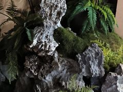 -巢爷老味(东方红店)