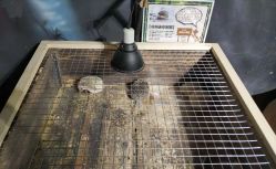 -酷嗒动物文化乐园(cutezoo西溪乐天城店)