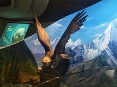 -陕西自然博物馆