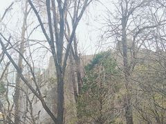 -森林公园(尖草坪区)