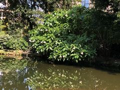 -成都市活水公园