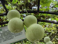 -中国天府农业博览园