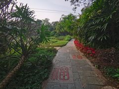 -广西壮族自治区药用植物园