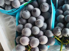 -马陆小张葡萄园农家乐