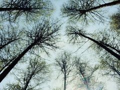 -硗碛藏寨·神木垒景区