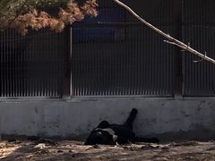 -太原动物园