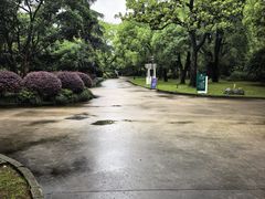 -上海虹桥迎宾馆