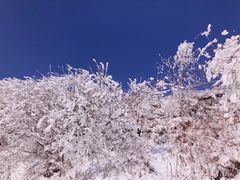 -秦岭风景区