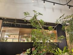 -gaga(深圳福田星河COCO Park店)