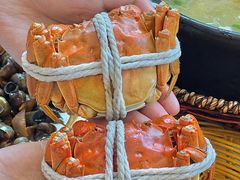 -蟹天蟹地农家菜·阳澄湖大闸蟹(浅水湾店)