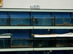 -阿伍海鲜大排档(塔湾金沙店)