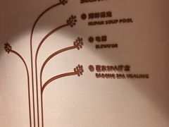 -芭东小镇温泉