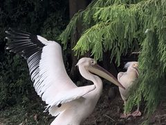 -上方山森林动物世界