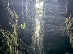 -梭布垭石林景区