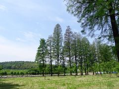 -南京市无想山景区