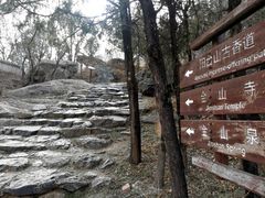 -阳台山自然风景区