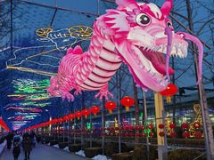 -南宫五洲植物乐园