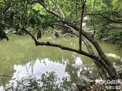 -汇龙潭