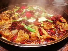 -老板恋上鱼(荣盛广场店)