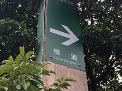 -大屏嶂森林公园