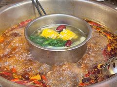 -金鼎雪山牦牛杂火锅(理县总店)