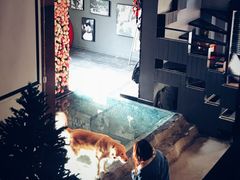 -百好乐宠物友好餐厅(朝外大街店)