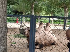 -长白岛森林公园