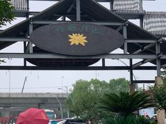-荷塘月色湿地公园·向阳花洲