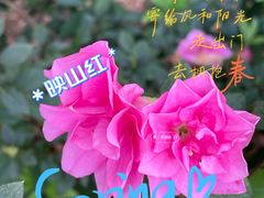 -笔架山公园