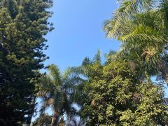 -攀枝花公园