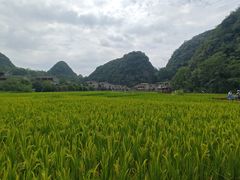 -高荡千年布依古寨旅游景区